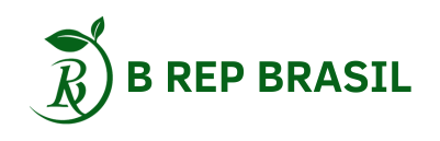 B REP BRASIL
